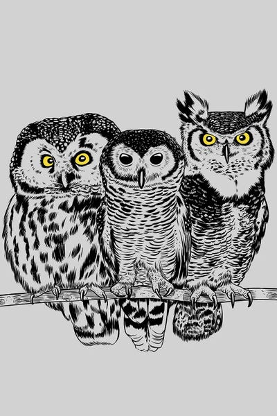 Alberto Perez: Three Owls by Alberto Perez