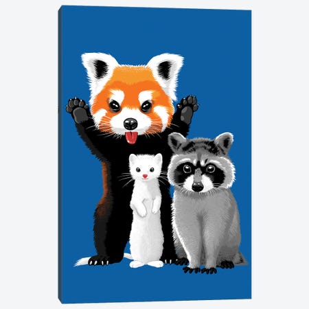 Raccoon, Ferret And Red Panda Canvas Print #APZ715} by Alberto Perez Canvas Wall Art