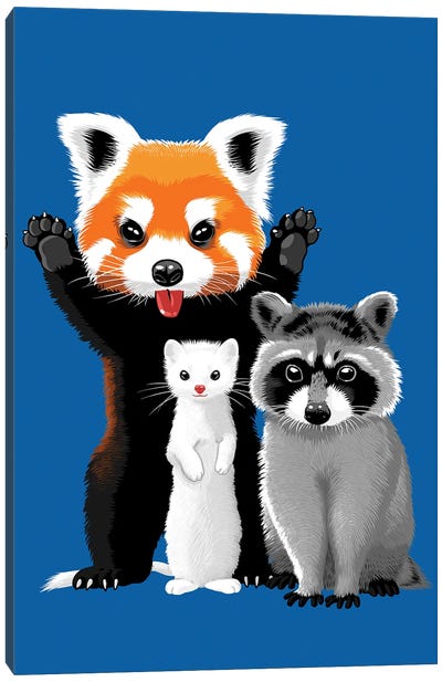 Raccoon, Ferret And Red Panda Canvas Art Print - Ferrets