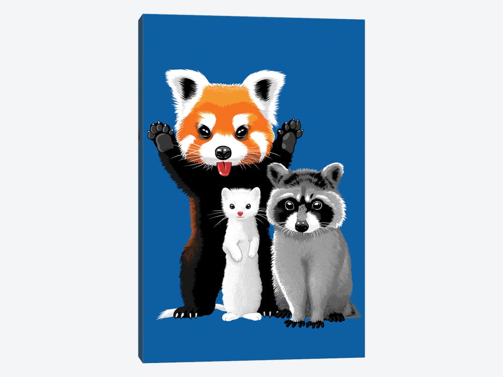 Raccoon, Ferret And Red Panda by Alberto Perez 1-piece Canvas Art