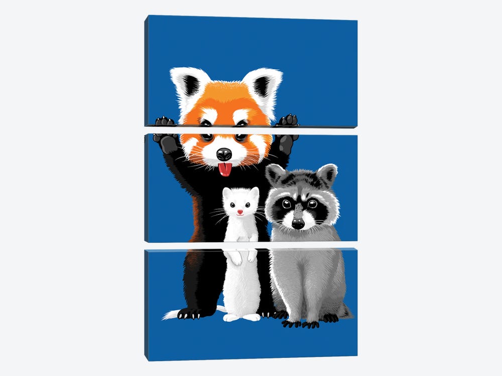 Raccoon, Ferret And Red Panda by Alberto Perez 3-piece Canvas Art