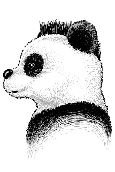 Punk Panda by Alberto Perez multi panel art