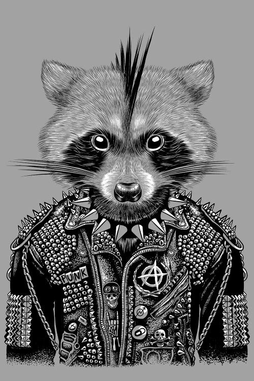 Punk Raccoon by Alberto Perez wall art