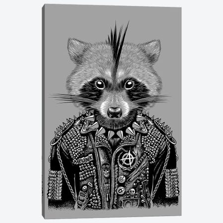 Punk Raccoon Canvas Print #APZ814} by Alberto Perez Canvas Art Print