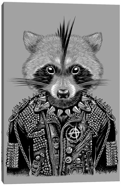 Punk Raccoon Canvas Art Print - Alberto Perez