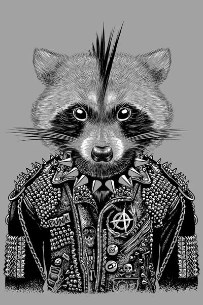 Alberto Perez: Punk Raccoon by Alberto Perez