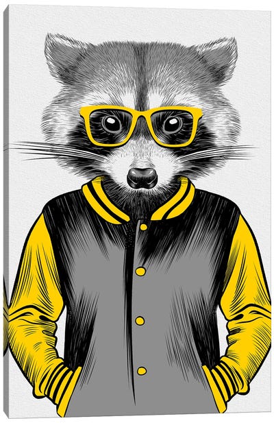 University Raccoon Canvas Art Print - Raccoon Art