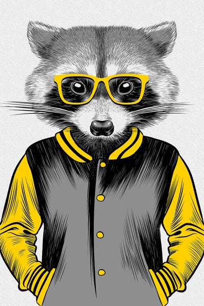 Raccoons: University Raccoon by Alberto Perez