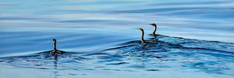 Trois Cormorans