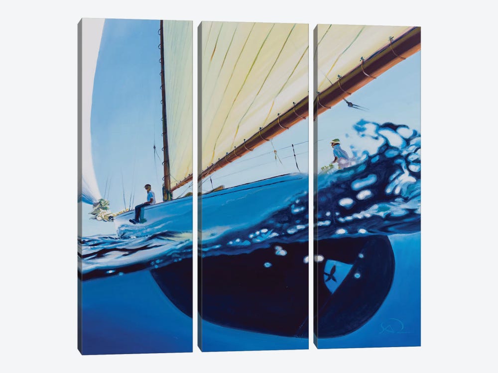 Chillin In The Blue by Antoine Renault 3-piece Canvas Print