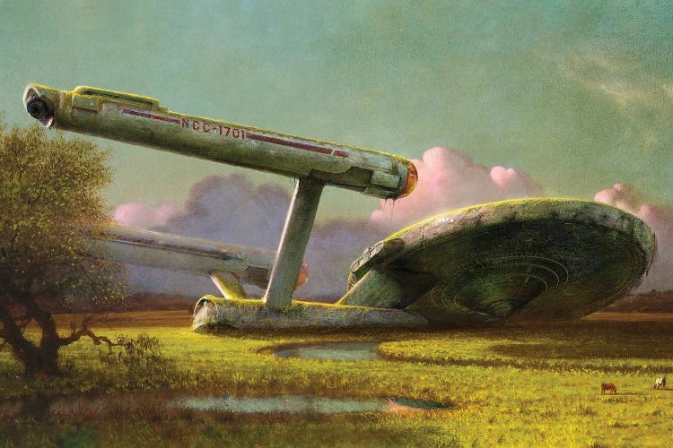 Forgotten Spaceship At The Meadow by Ars Fantasio wall art