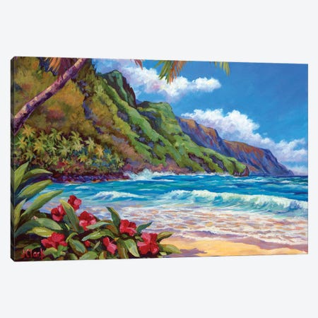 Waves On Na Pali Shore Canvas Print #ARK103} by John Clark Canvas Wall Art