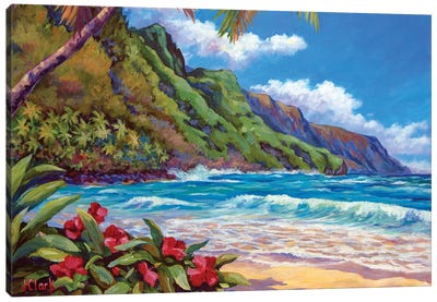 Waves On Na Pali Shore Canvas Art Print - Tropical Beach Art
