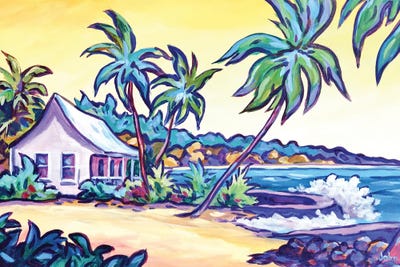 Evening Glow At Prospect Reef by John Clark canvas print