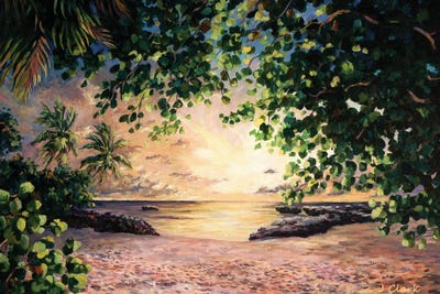 Sunset At Smith Cove by John Clark canvas print