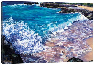 Waves At Smith Cove Canvas Art Print - John Clark