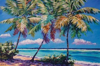 Three Palms by John Clark canvas print