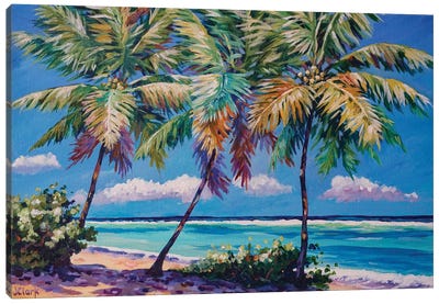 Three Palms Canvas Art Print - Tropical Beach Art
