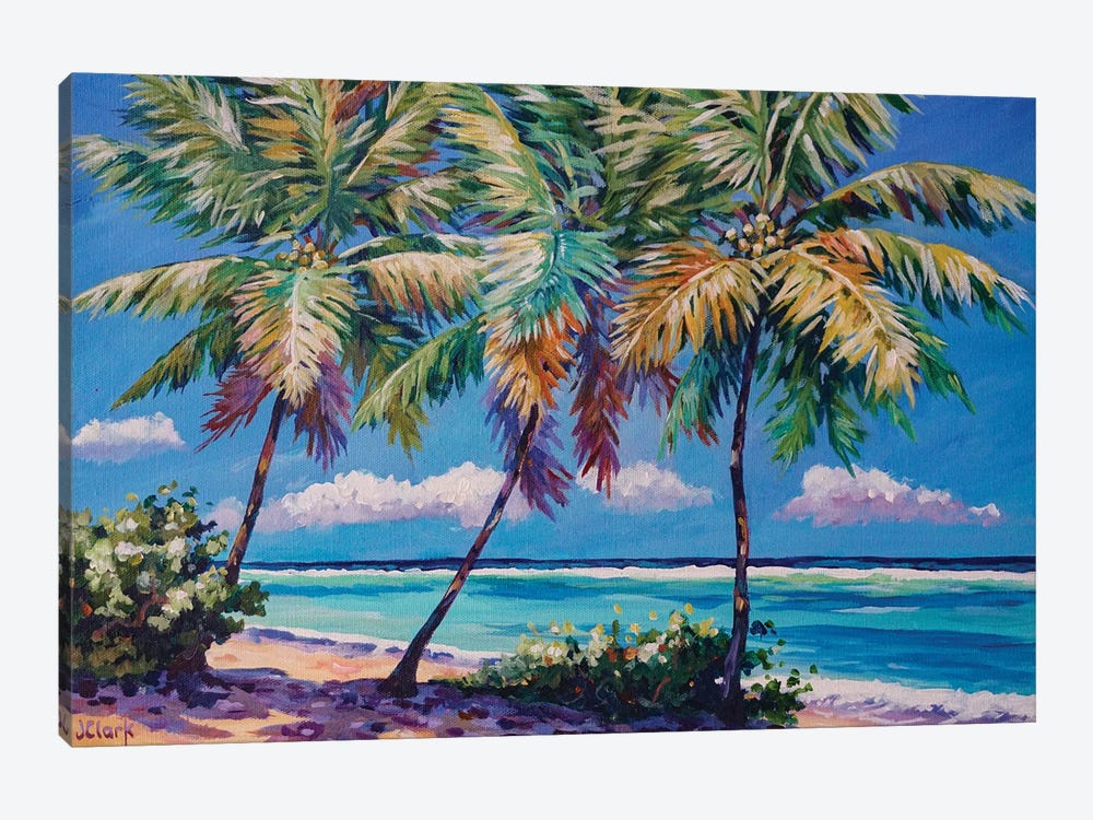 Three Palms by John Clark 1-piece Canvas Wall Art