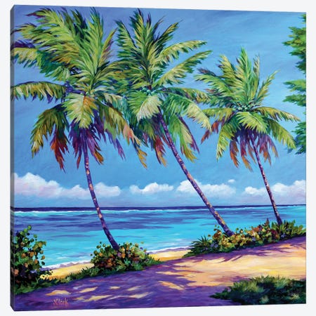 Palms At The Island's End Canvas Print #ARK39} by John Clark Canvas Print