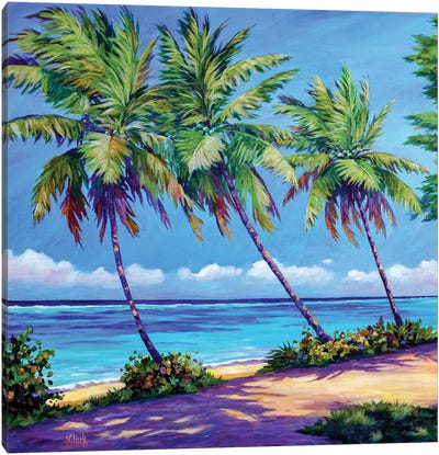 Palms At The Island's End Canvas Art Print - John Clark