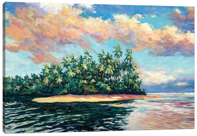 Sunset On The River Ortoire - Trinidad Canvas Art Print - John Clark