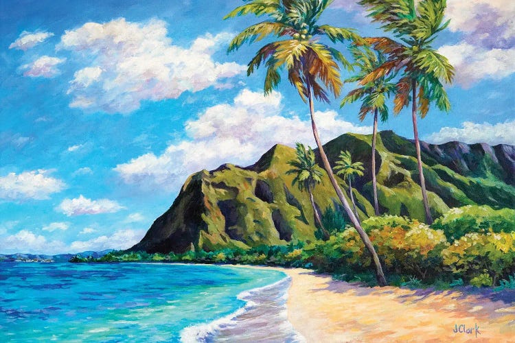 Kaaawa Beach - Hawaii by John Clark wall art