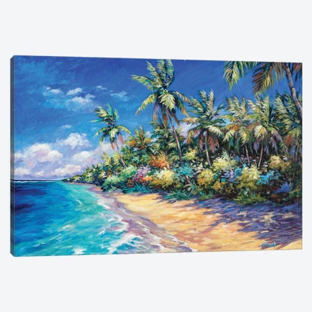 Beach And Palms Canvas Print #ARK48} by John Clark Canvas Artwork