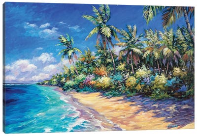 Beach And Palms Canvas Art Print - Tropical Beach Art
