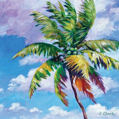 North Shore Palm by John Clark canvas print