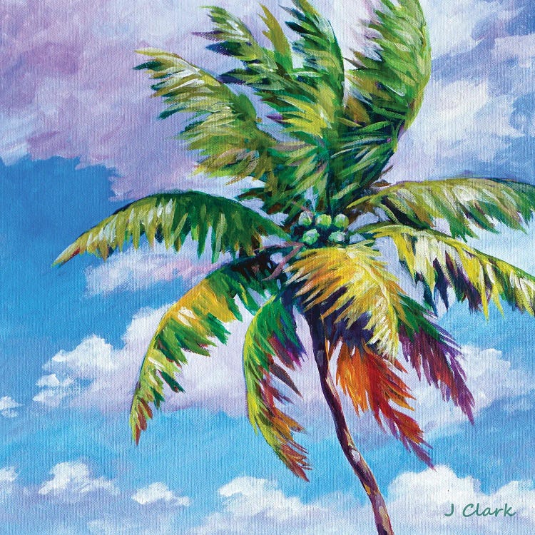 North Shore Palm by John Clark wall art