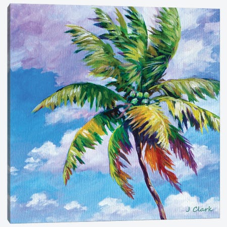 North Shore Palm Canvas Print #ARK53} by John Clark Canvas Print