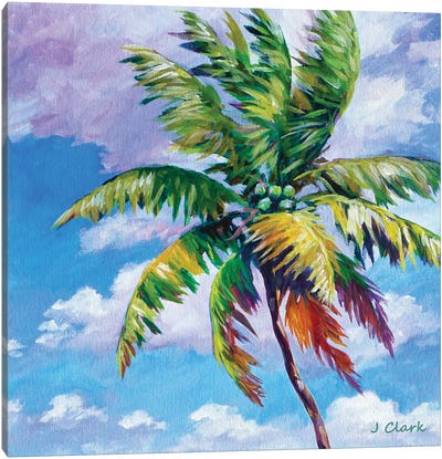North Shore Palm Canvas Art Print - John Clark
