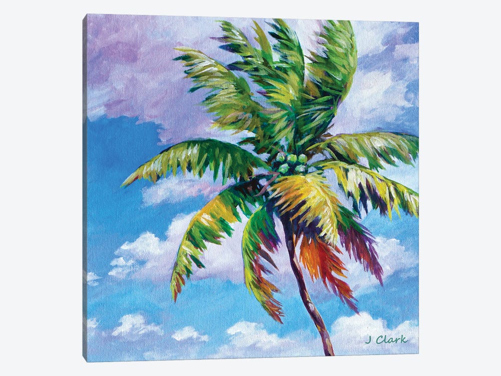 North Shore Palm by John Clark 1-piece Canvas Print