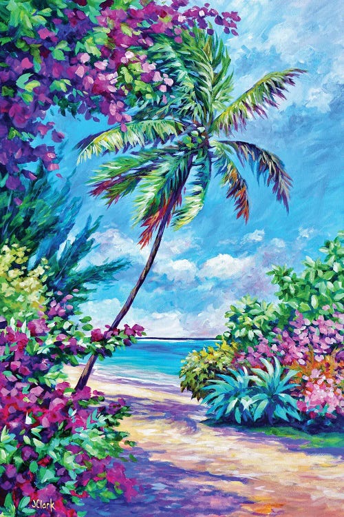 Palm And Bougainvillea