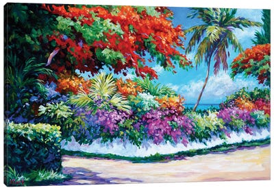 Wall Of Color Canvas Art Print - John Clark