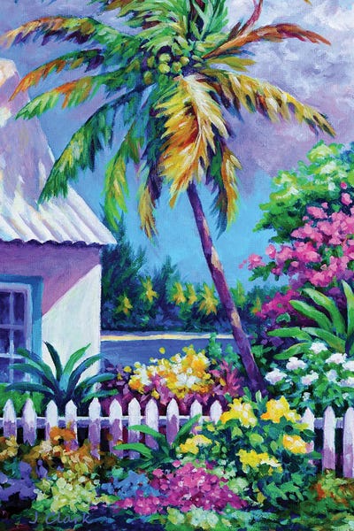 Palm At Cayman Kai by John Clark canvas print