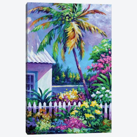 Palm At Cayman Kai Canvas Print #ARK59} by John Clark Canvas Art Print