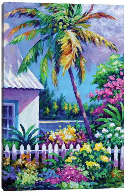 Palm At Cayman Kai Canvas Art Print - John Clark