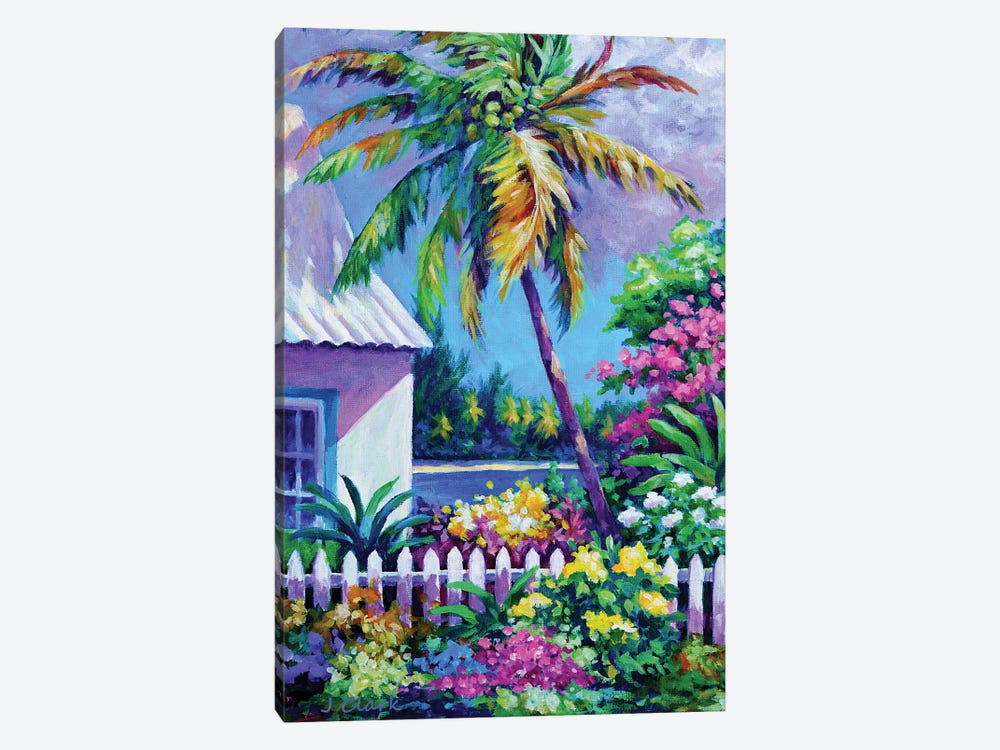 Palm At Cayman Kai by John Clark 1-piece Canvas Art Print