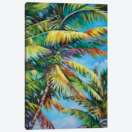 Palm Frenzy Canvas Print #ARK62} by John Clark Canvas Wall Art