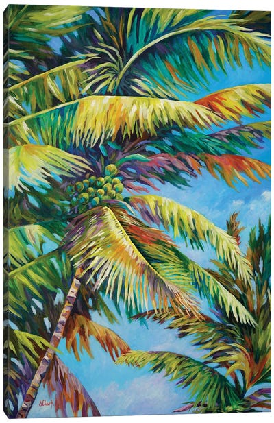 Palm Frenzy Canvas Art Print - John Clark