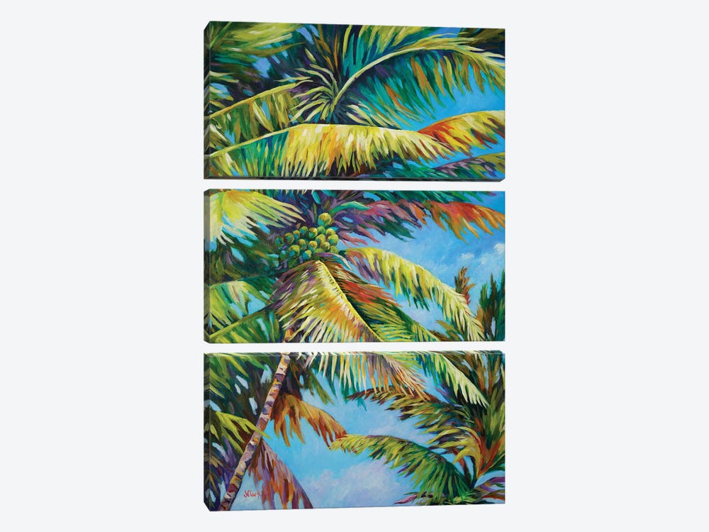 Palm Frenzy by John Clark 3-piece Canvas Print