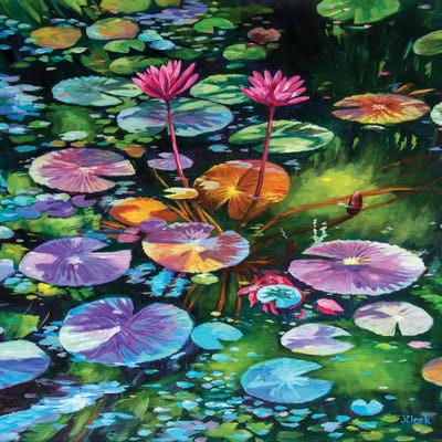 Pink Water Lilies by John Clark framed canvas print