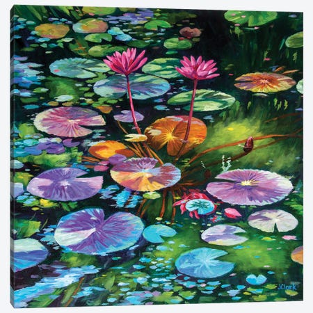 Pink Water Lilies Canvas Print #ARK65} by John Clark Canvas Art Print