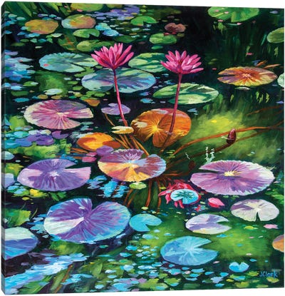 Pink Water Lilies Canvas Art Print - John Clark