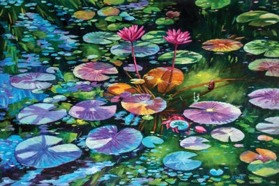 Water Lilies