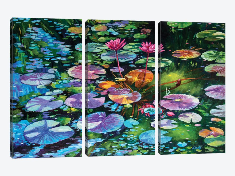 Water Lilies by John Clark 3-piece Art Print