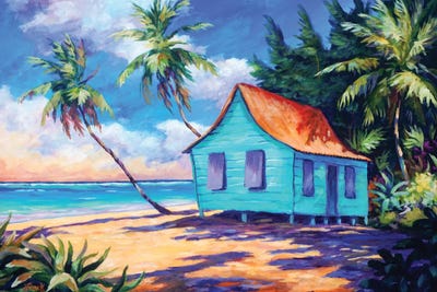 Cayman Cottage In The Evening Light by John Clark canvas print