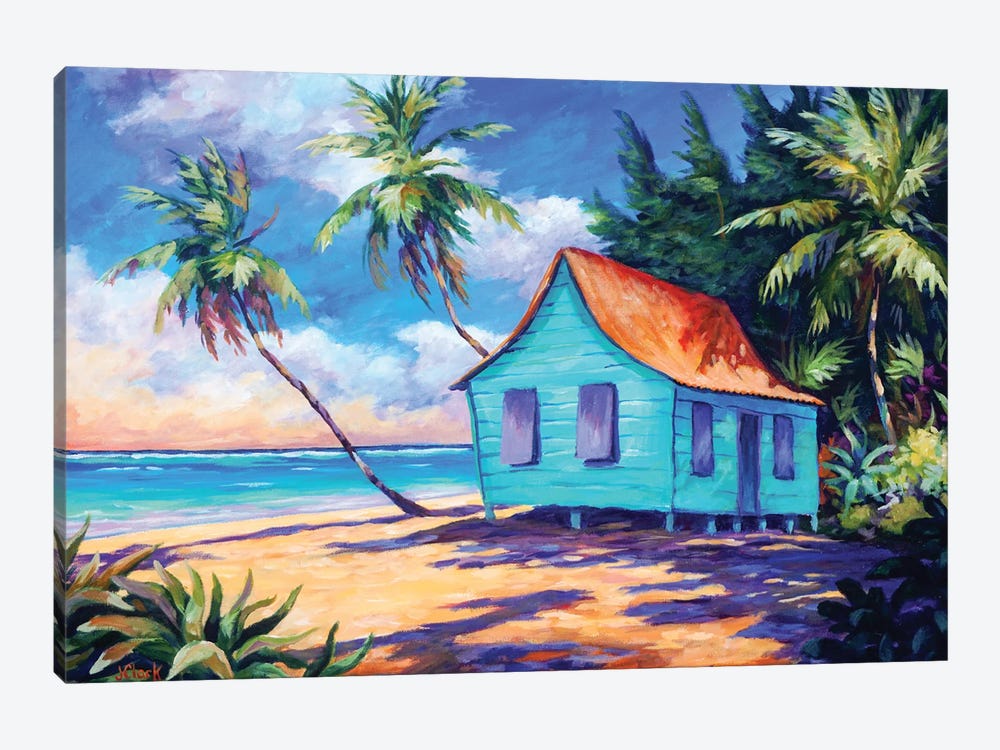 Cayman Cottage In The Evening Light by John Clark 1-piece Art Print